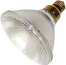 Eiko&reg; 65PAR38/H/FL/130V 00238