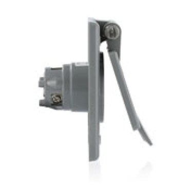 Leviton&reg; 5278-CWP